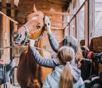 Paardenpension galerij 1